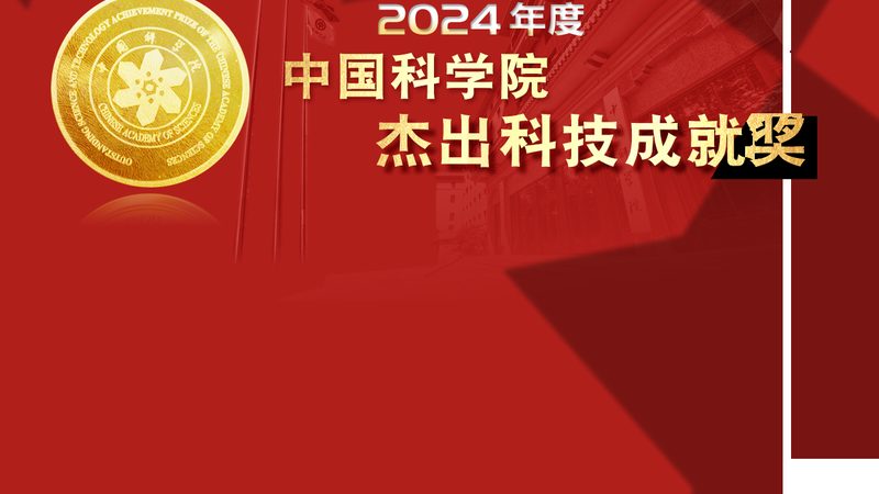 企业IT定制化流程中的关键节点与注意事项